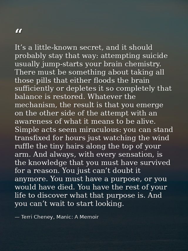 It’s a little-known secret, and it should probably stay that way: attempting suicide usually jump-starts your brain chem — Terri Cheney, Manic: A Memoir