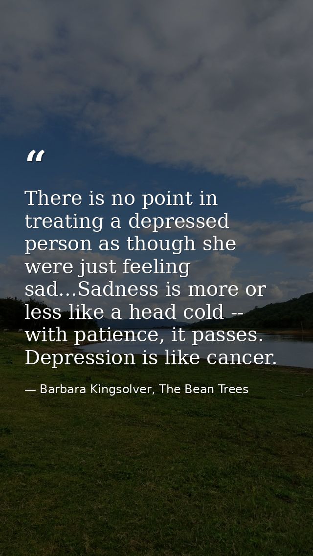 There is no point in treating a depressed person as though she were just feeling sad...Sadness is more or less like a he — Barbara Kingsolver, The Bean Trees