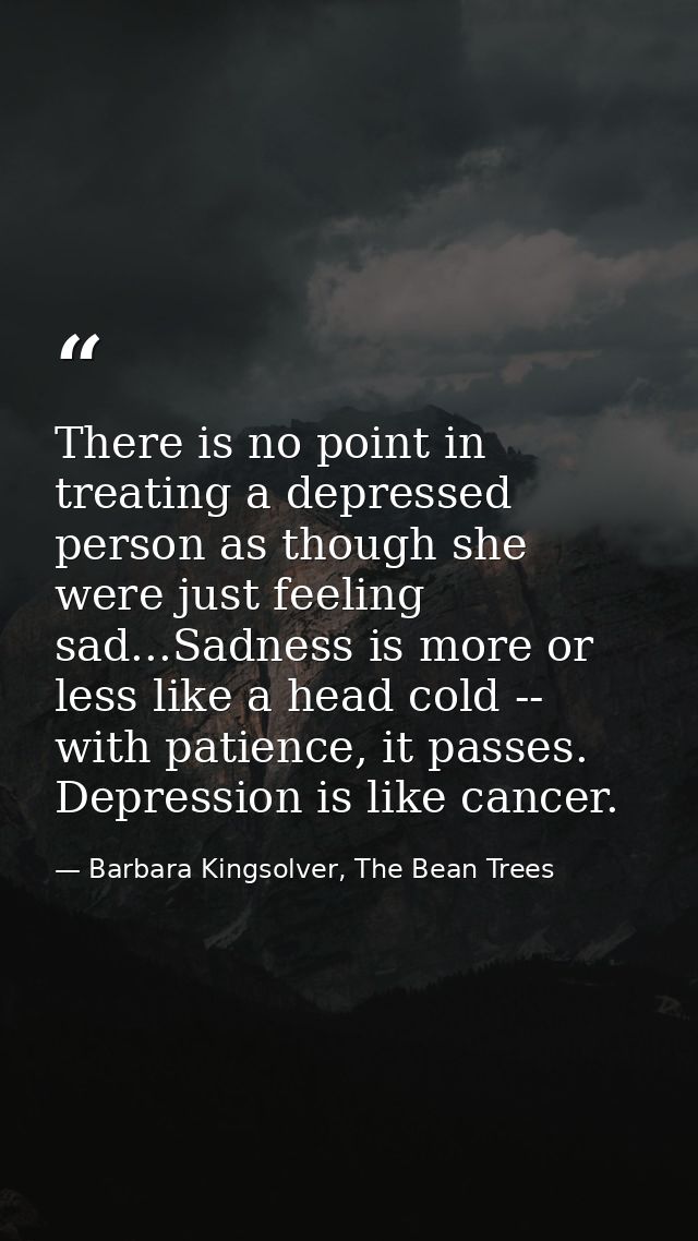 There is no point in treating a depressed person as though she were just feeling sad...Sadness is more or less like a he — Barbara Kingsolver, The Bean Trees