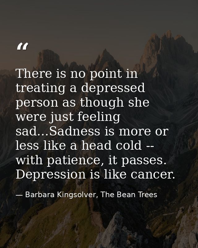 There is no point in treating a depressed person as though she were just feeling sad...Sadness is more or less like a he — Barbara Kingsolver, The Bean Trees