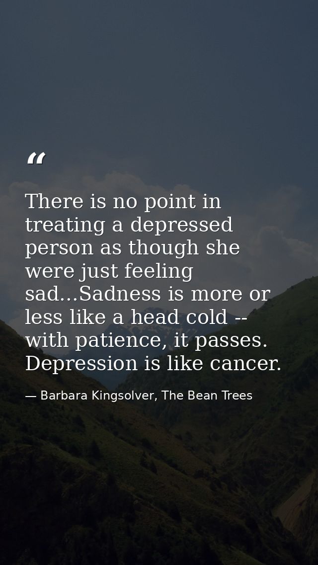 There is no point in treating a depressed person as though she were just feeling sad...Sadness is more or less like a he — Barbara Kingsolver, The Bean Trees