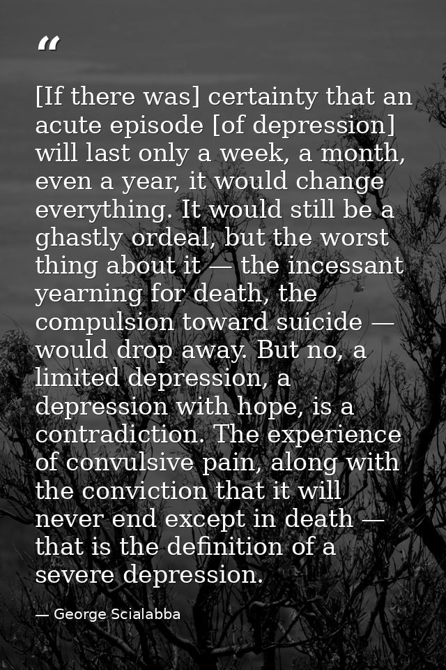 [If there was] certainty that an acute episode [of depression] will last only a week, a month, even a year, it would cha — George Scialabba