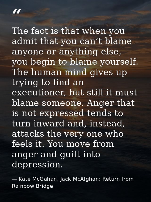 The fact is that when you admit that you can’t blame anyone or anything else, you begin to blame yourself. The human min — Kate McGahan, Jack McAfghan: Return from Rainbow Bridge