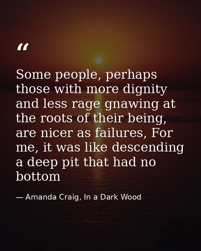 Some people, perhaps those with more dignity and less rage gnawing at the roots of their being, are nicer as failures, F — Amanda Craig, In a Dark Wood