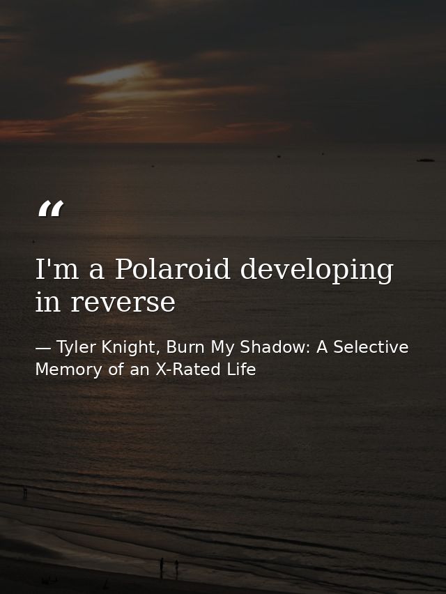 I'm a Polaroid developing in reverse — Tyler Knight, Burn My Shadow: A Selective Memory of an X-Rated Life