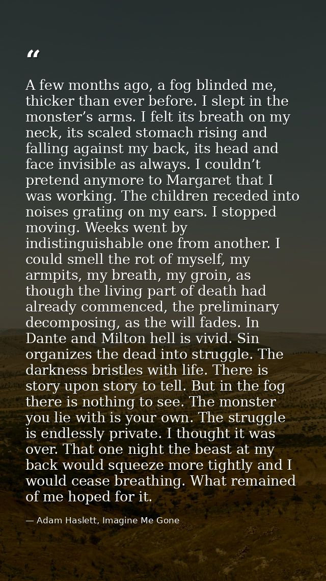 A few months ago, a fog blinded me, thicker than ever before. I slept in the monster’s arms. I felt its breath on my nec — Adam Haslett, Imagine Me Gone