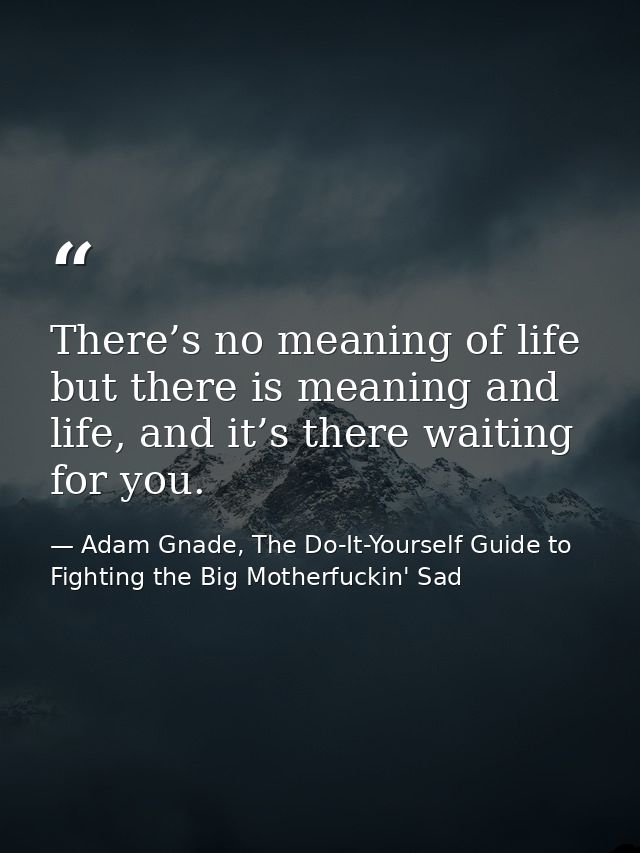 There’s no meaning of life but there is meaning and life, and it’s there waiting for you. — Adam Gnade, The Do-It-Yourself Guide to Fighting the Big Motherfuckin' Sad