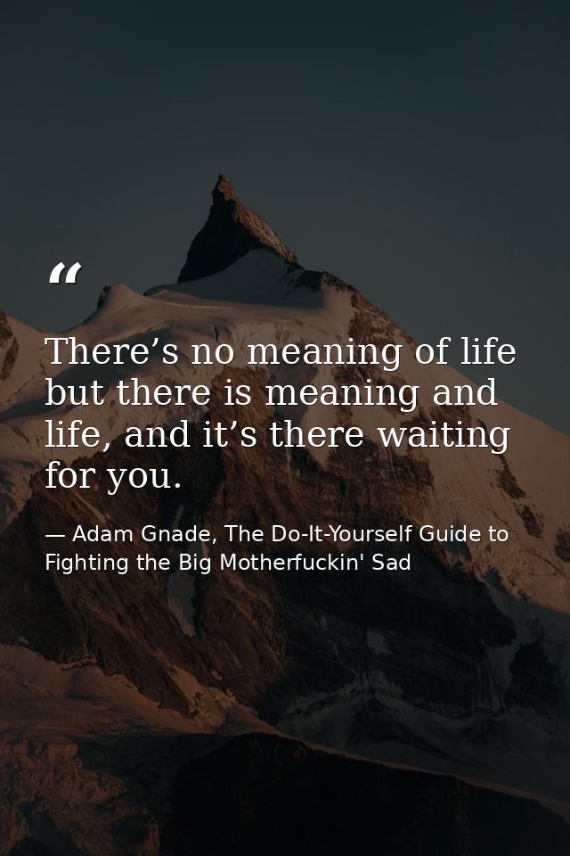 There’s no meaning of life but there is meaning and life, and it’s there waiting for you. — Adam Gnade, The Do-It-Yourself Guide to Fighting the Big Motherfuckin' Sad