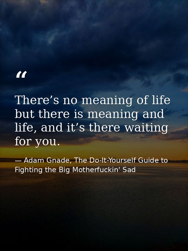 There’s no meaning of life but there is meaning and life, and it’s there waiting for you. — Adam Gnade, The Do-It-Yourself Guide to Fighting the Big Motherfuckin' Sad