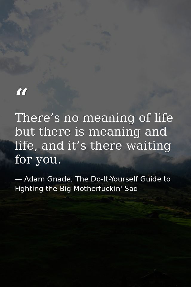There’s no meaning of life but there is meaning and life, and it’s there waiting for you. — Adam Gnade, The Do-It-Yourself Guide to Fighting the Big Motherfuckin' Sad