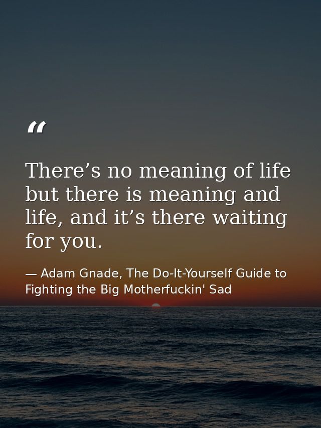 There’s no meaning of life but there is meaning and life, and it’s there waiting for you. — Adam Gnade, The Do-It-Yourself Guide to Fighting the Big Motherfuckin' Sad
