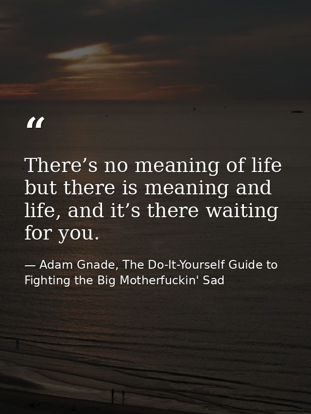 There’s no meaning of life but there is meaning and life, and it’s there waiting for you. — Adam Gnade, The Do-It-Yourself Guide to Fighting the Big Motherfuckin' Sad