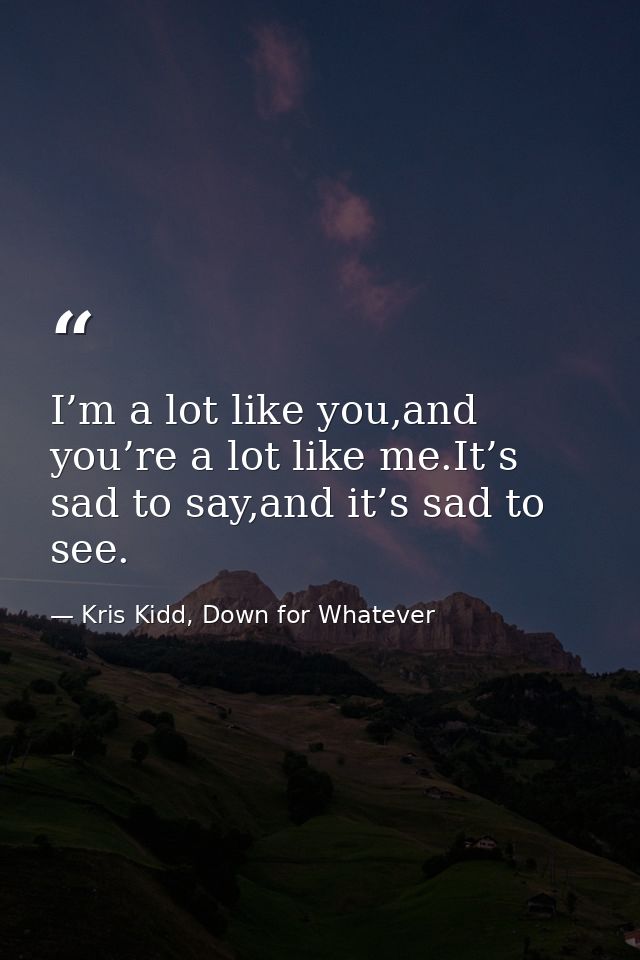 I’m a lot like you,and you’re a lot like me.It’s sad to say,and it’s sad to see. — Kris Kidd, Down for Whatever