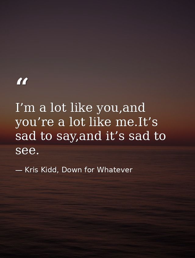 I’m a lot like you,and you’re a lot like me.It’s sad to say,and it’s sad to see. — Kris Kidd, Down for Whatever