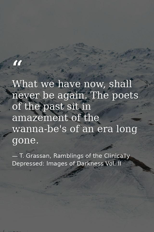 What we have now, shall never be again. The poets of the past sit in amazement of the wanna-be's of an era long gone. — T. Grassan, Ramblings of the Clinically Depressed: Images of Darkness Vol. II