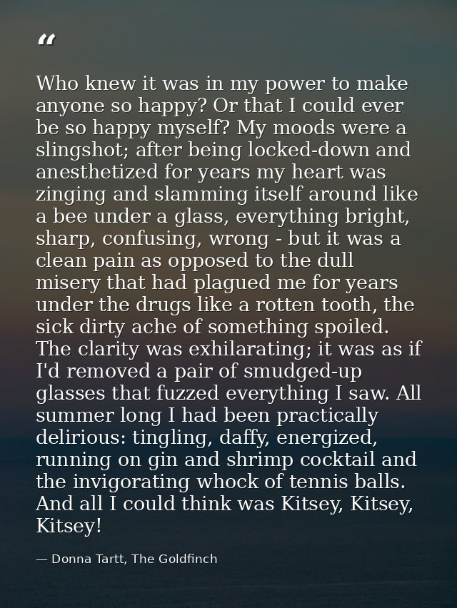 Who knew it was in my power to make anyone so happy? Or that I could ever be so happy myself? My moods were a slingshot; — Donna Tartt, The Goldfinch