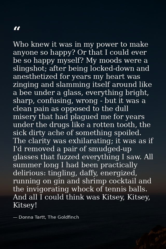 Who knew it was in my power to make anyone so happy? Or that I could ever be so happy myself? My moods were a slingshot; — Donna Tartt, The Goldfinch