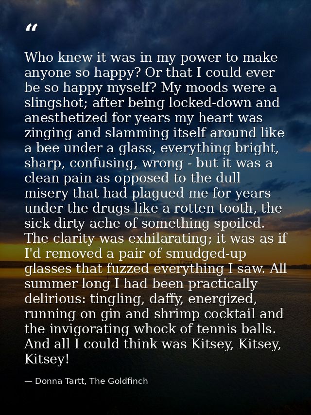 Who knew it was in my power to make anyone so happy? Or that I could ever be so happy myself? My moods were a slingshot; — Donna Tartt, The Goldfinch