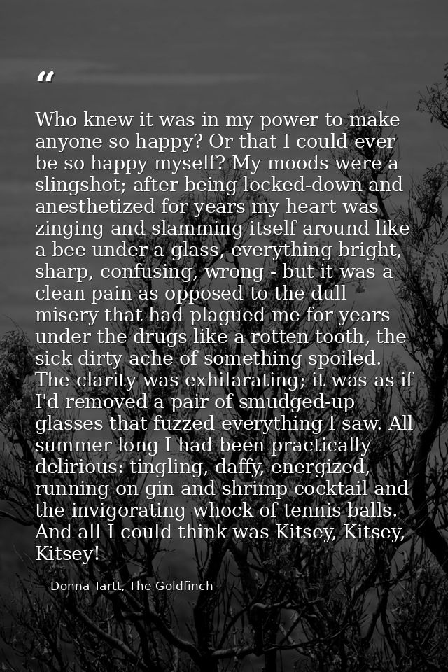 Who knew it was in my power to make anyone so happy? Or that I could ever be so happy myself? My moods were a slingshot; — Donna Tartt, The Goldfinch