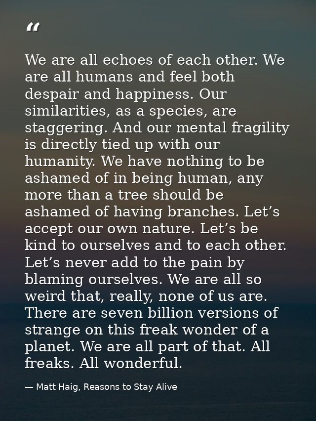 We are all echoes of each other. We are all humans and feel both despair and happiness. Our similarities, as a species,  — Matt Haig, Reasons to Stay Alive