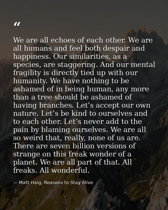 We are all echoes of each other. We are all humans and feel both despair and happiness. Our similarities, as a species,  — Matt Haig, Reasons to Stay Alive