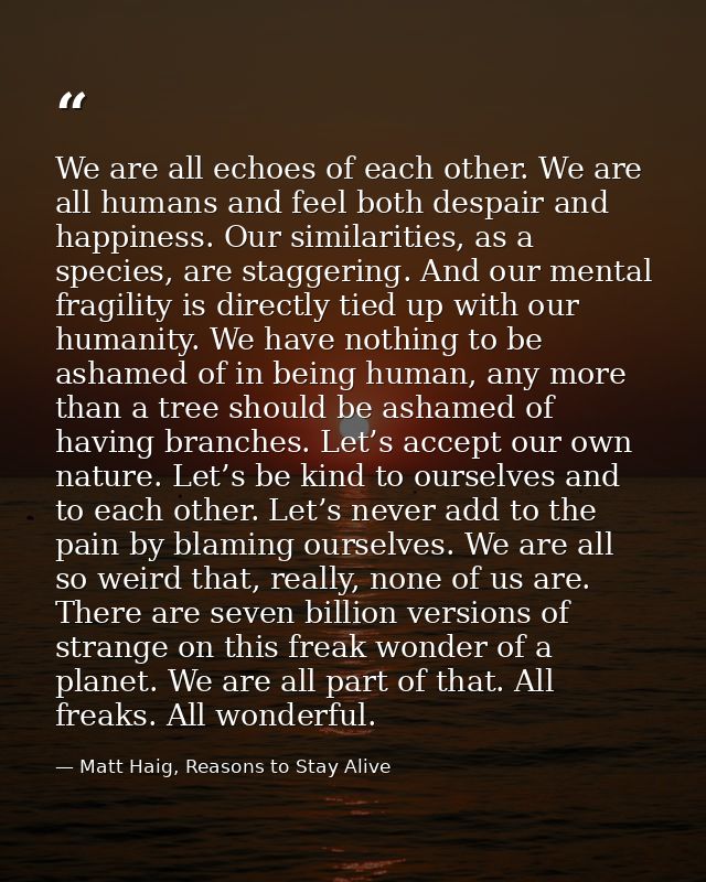 We are all echoes of each other. We are all humans and feel both despair and happiness. Our similarities, as a species,  — Matt Haig, Reasons to Stay Alive