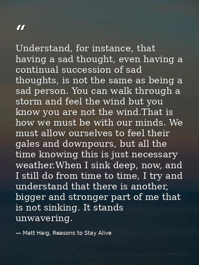 Understand, for instance, that having a sad thought, even having a continual succession of sad thoughts, is not the same — Matt Haig, Reasons to Stay Alive