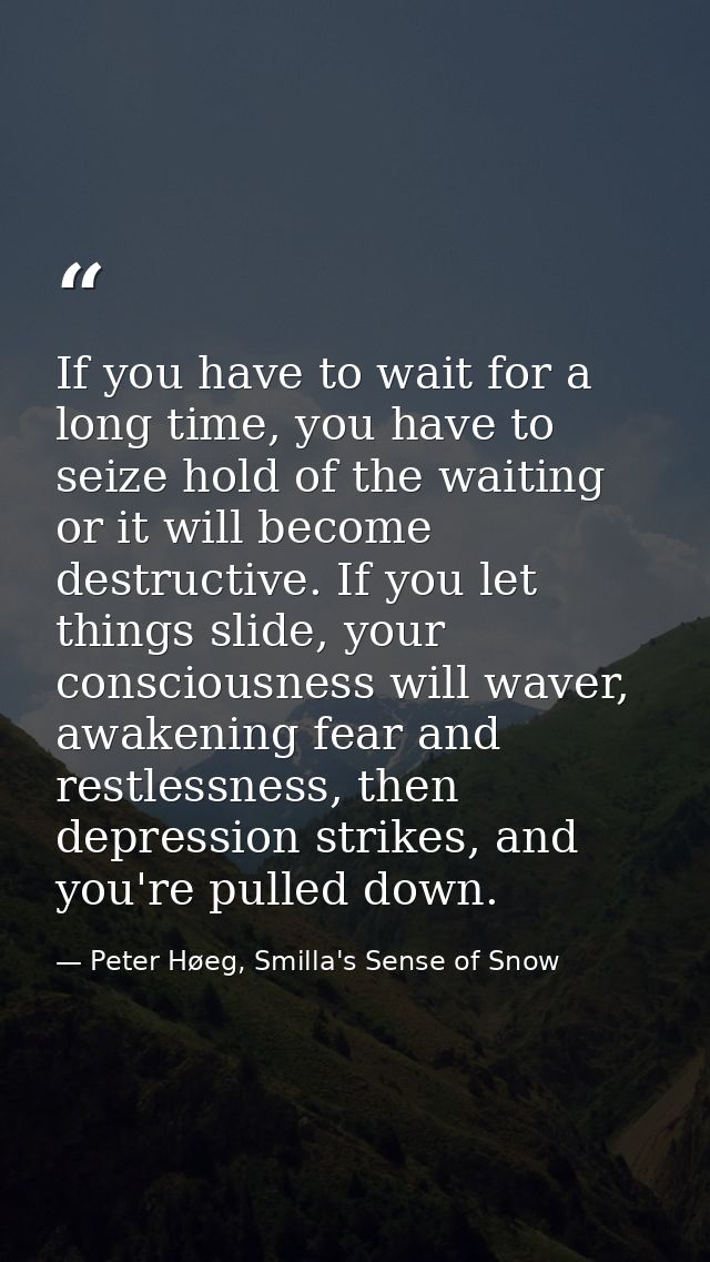 If you have to wait for a long time, you have to seize hold of the waiting or it will become destructive. If you let thi — Peter Høeg, Smilla's Sense of Snow