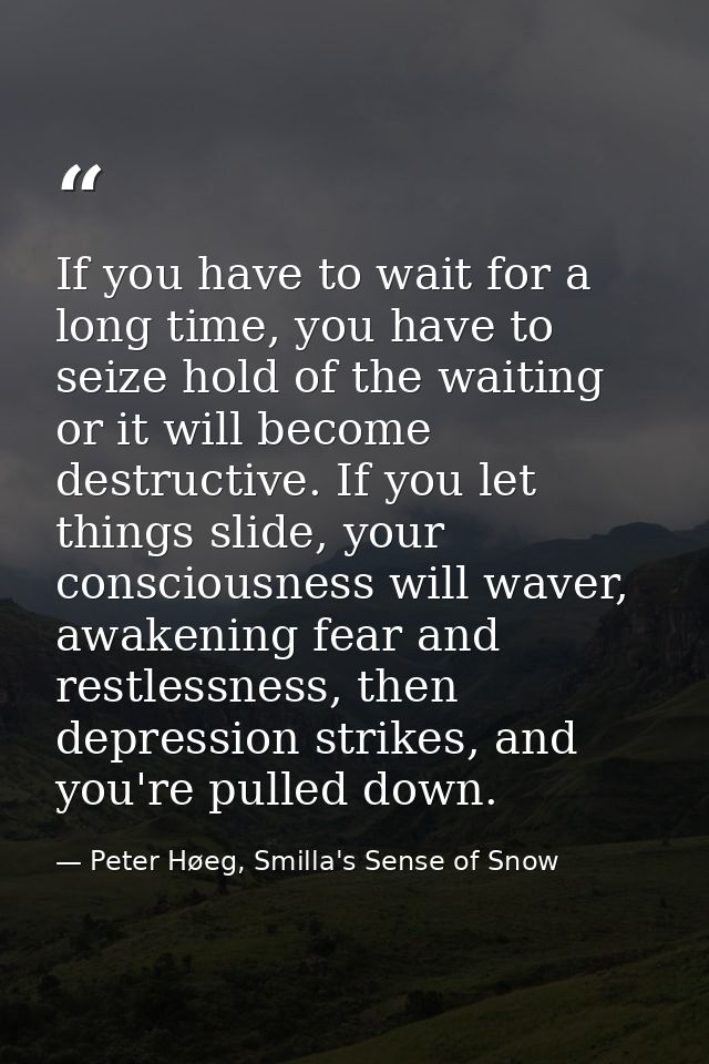 If you have to wait for a long time, you have to seize hold of the waiting or it will become destructive. If you let thi — Peter Høeg, Smilla's Sense of Snow