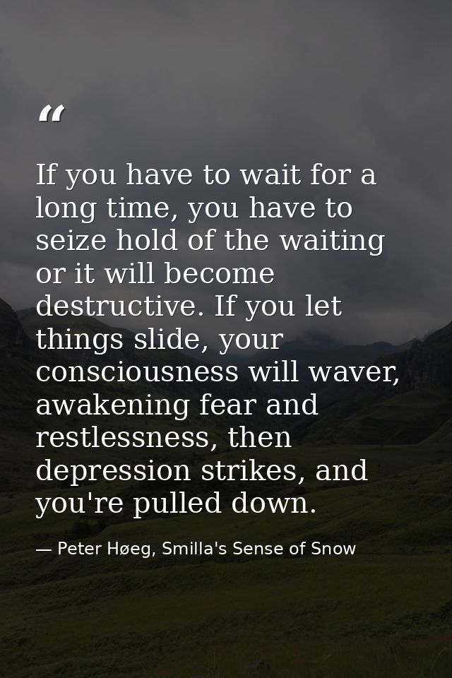 If you have to wait for a long time, you have to seize hold of the waiting or it will become destructive. If you let thi — Peter Høeg, Smilla's Sense of Snow