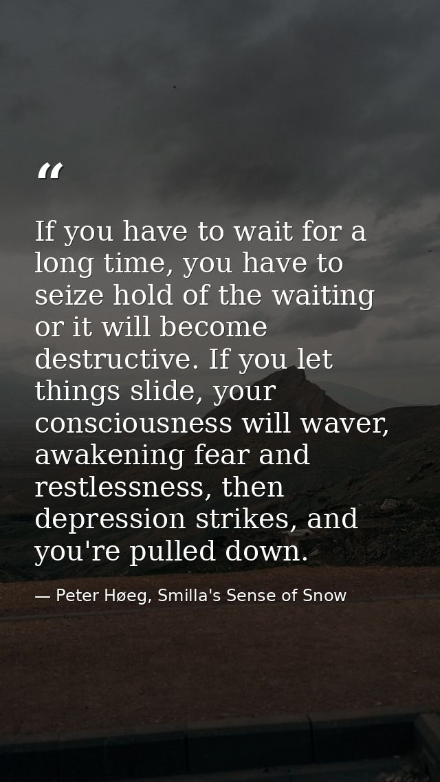 If you have to wait for a long time, you have to seize hold of the waiting or it will become destructive. If you let thi — Peter Høeg, Smilla's Sense of Snow