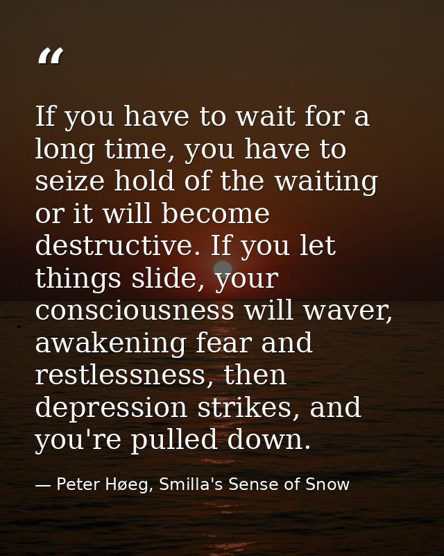 If you have to wait for a long time, you have to seize hold of the waiting or it will become destructive. If you let thi — Peter Høeg, Smilla's Sense of Snow