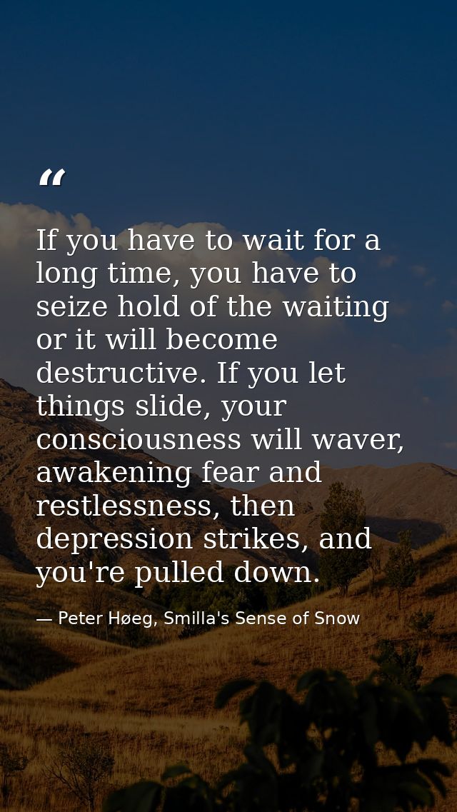 If you have to wait for a long time, you have to seize hold of the waiting or it will become destructive. If you let thi — Peter Høeg, Smilla's Sense of Snow
