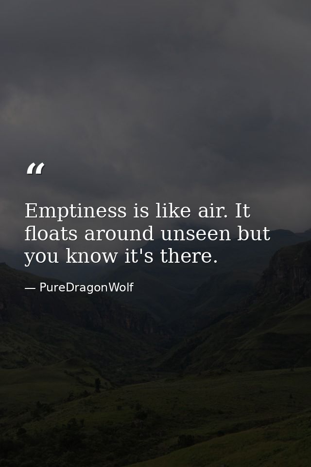 Emptiness is like air. It floats around unseen but you know it's there. — PureDragonWolf