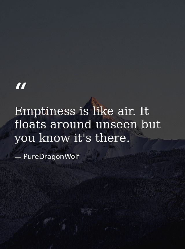 Emptiness is like air. It floats around unseen but you know it's there. — PureDragonWolf