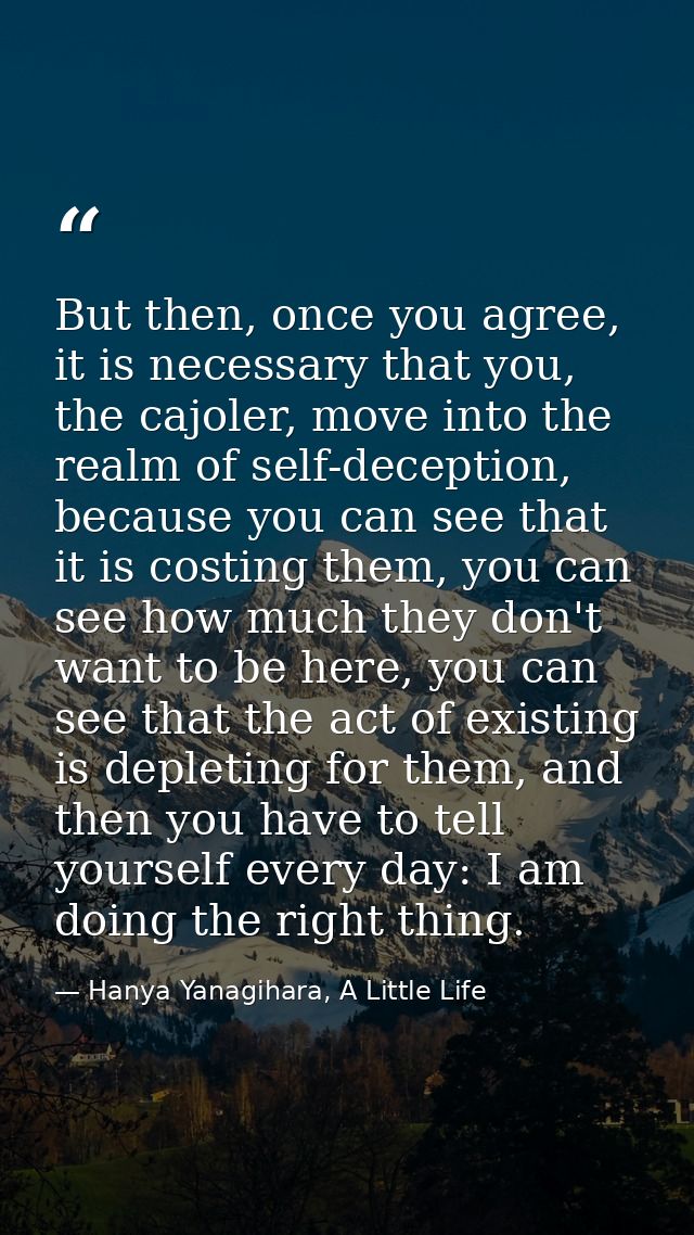 But then, once you agree, it is necessary that you, the cajoler, move into the realm of self-deception, because you can  — Hanya Yanagihara, A Little Life