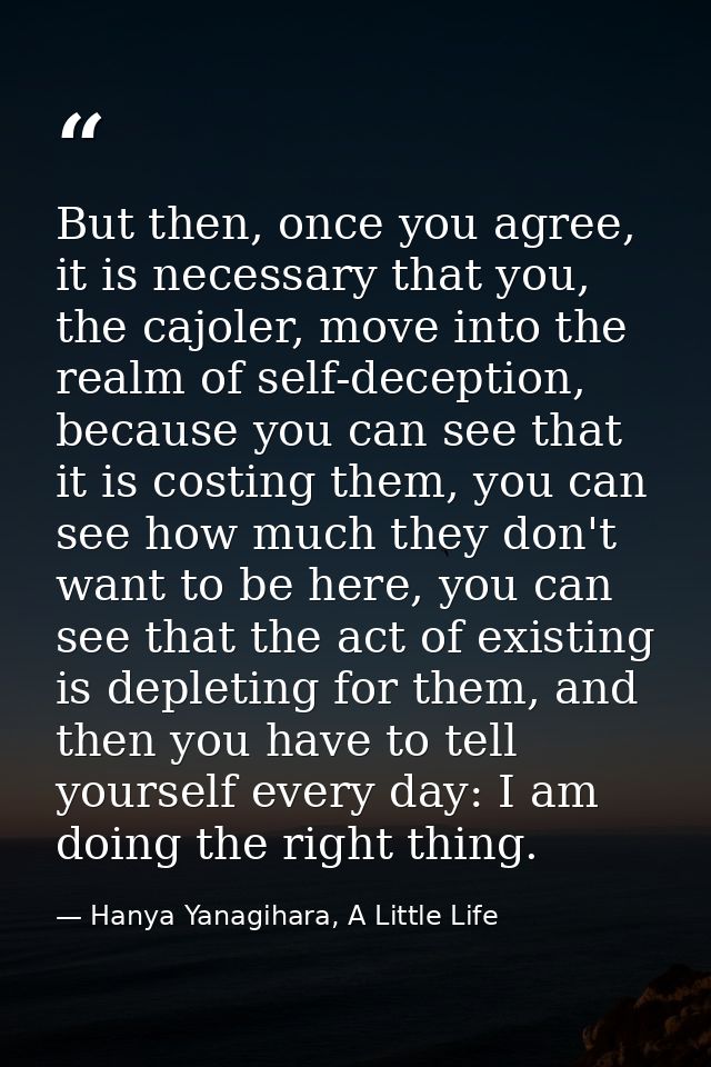 But then, once you agree, it is necessary that you, the cajoler, move into the realm of self-deception, because you can  — Hanya Yanagihara, A Little Life