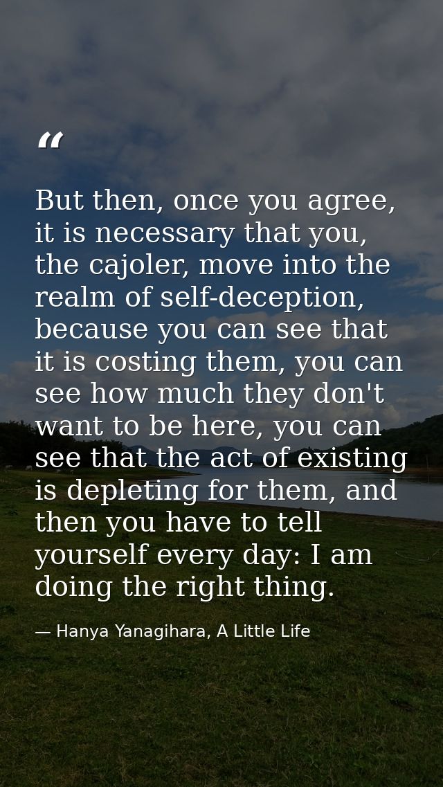 But then, once you agree, it is necessary that you, the cajoler, move into the realm of self-deception, because you can  — Hanya Yanagihara, A Little Life