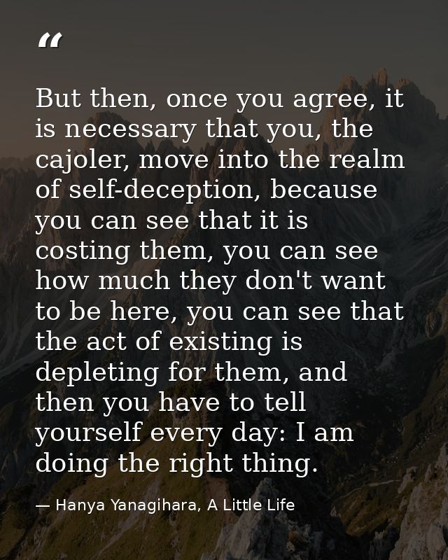 But then, once you agree, it is necessary that you, the cajoler, move into the realm of self-deception, because you can  — Hanya Yanagihara, A Little Life