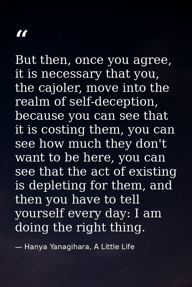 But then, once you agree, it is necessary that you, the cajoler, move into the realm of self-deception, because you can  — Hanya Yanagihara, A Little Life