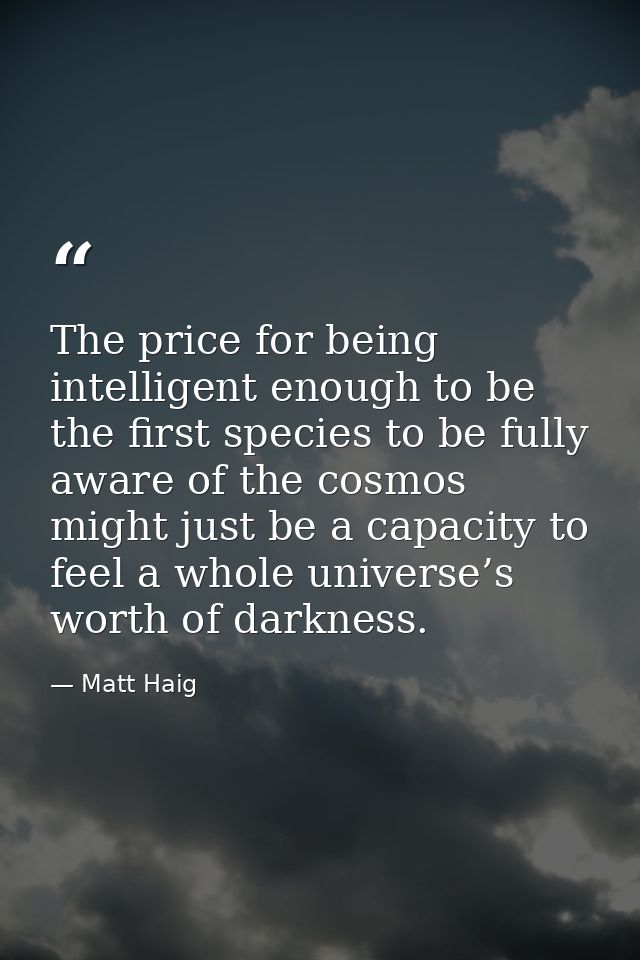 The price for being intelligent enough to be the first species to be fully aware of the cosmos might just be a capacity  — Matt Haig