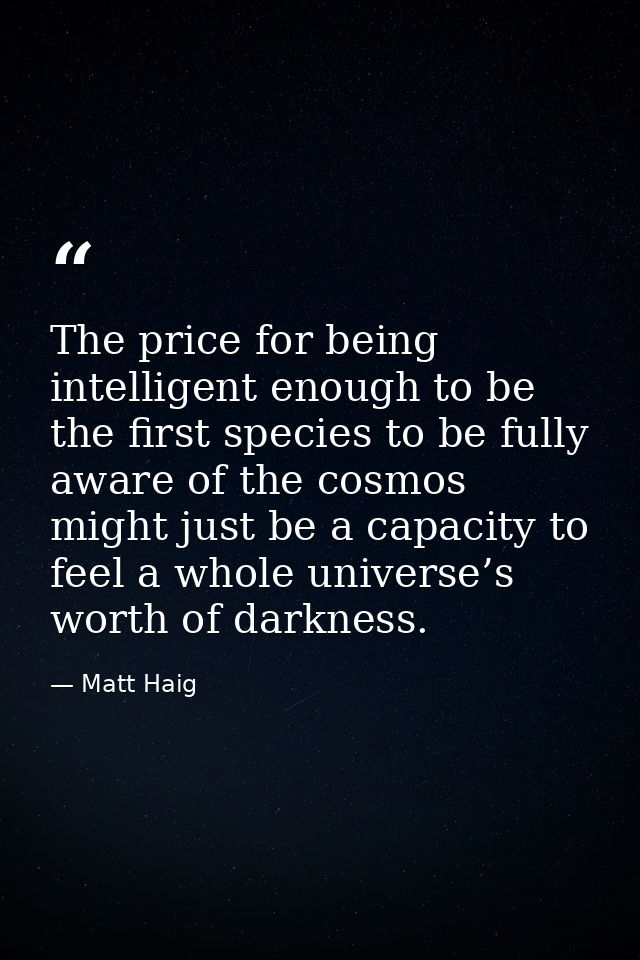 The price for being intelligent enough to be the first species to be fully aware of the cosmos might just be a capacity  — Matt Haig