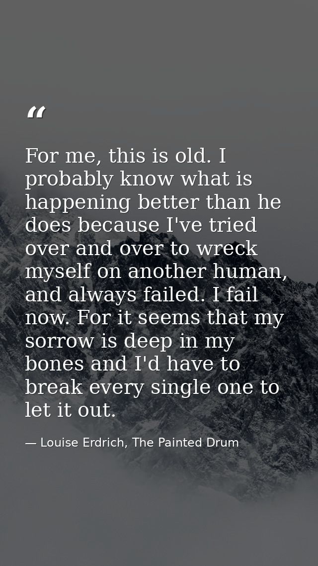 For me, this is old. I probably know what is happening better than he does because I've tried over and over to wreck mys — Louise Erdrich, The Painted Drum