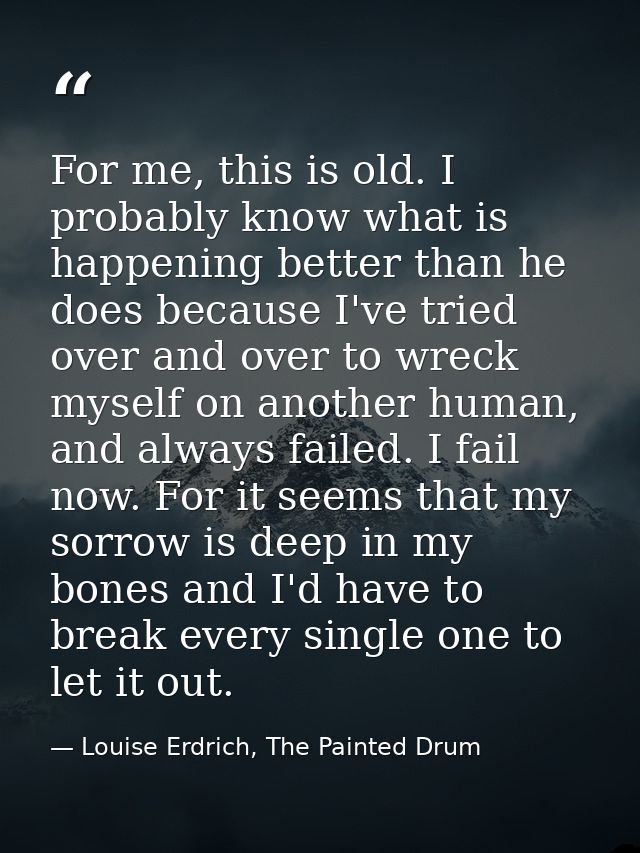 For me, this is old. I probably know what is happening better than he does because I've tried over and over to wreck mys — Louise Erdrich, The Painted Drum