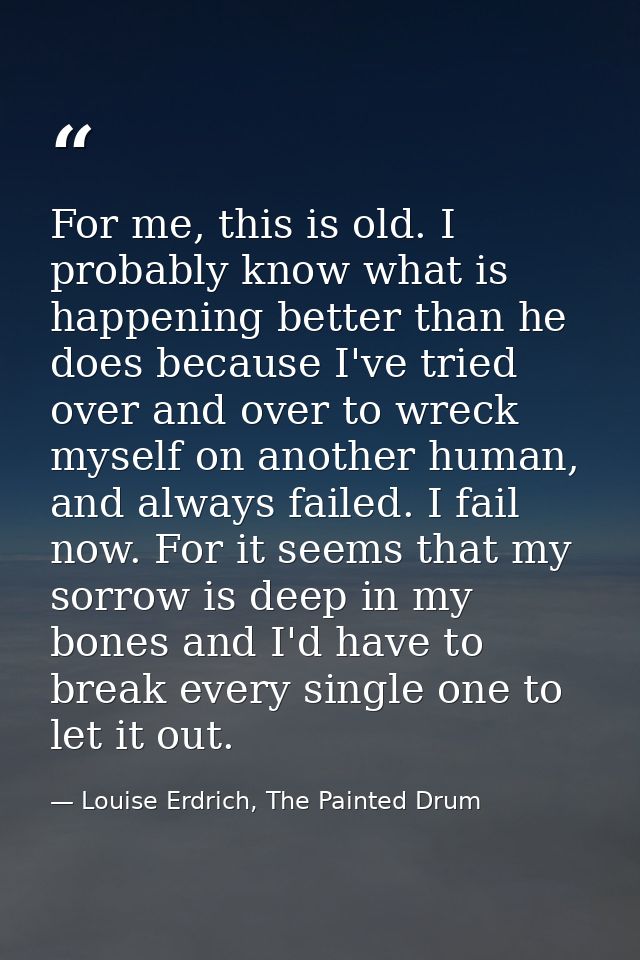 For me, this is old. I probably know what is happening better than he does because I've tried over and over to wreck mys — Louise Erdrich, The Painted Drum