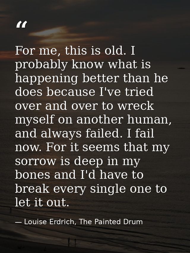 For me, this is old. I probably know what is happening better than he does because I've tried over and over to wreck mys — Louise Erdrich, The Painted Drum