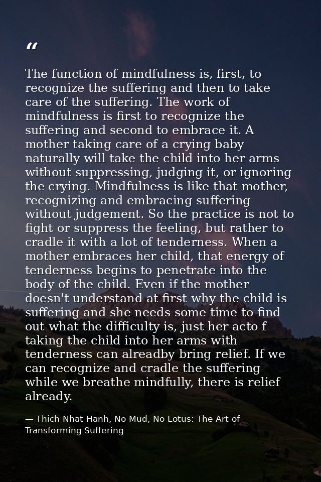 The function of mindfulness is, first, to recognize the suffering and then to take care of the suffering. The work of mi — Thich Nhat Hanh, No Mud, No Lotus: The Art of Transforming Suffering