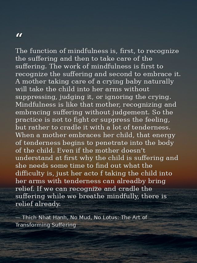 The function of mindfulness is, first, to recognize the suffering and then to take care of the suffering. The work of mi — Thich Nhat Hanh, No Mud, No Lotus: The Art of Transforming Suffering