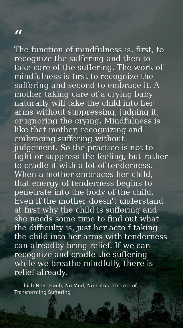 The function of mindfulness is, first, to recognize the suffering and then to take care of the suffering. The work of mi — Thich Nhat Hanh, No Mud, No Lotus: The Art of Transforming Suffering