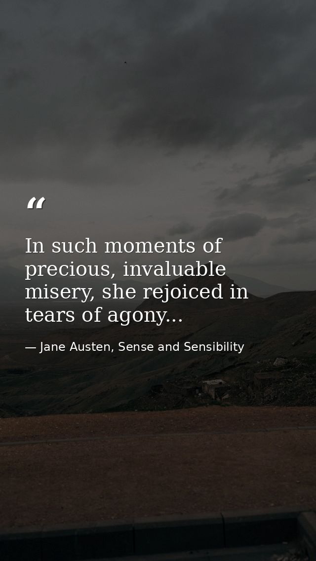 In such moments of precious, invaluable misery, she rejoiced in tears of agony... — Jane Austen, Sense and Sensibility